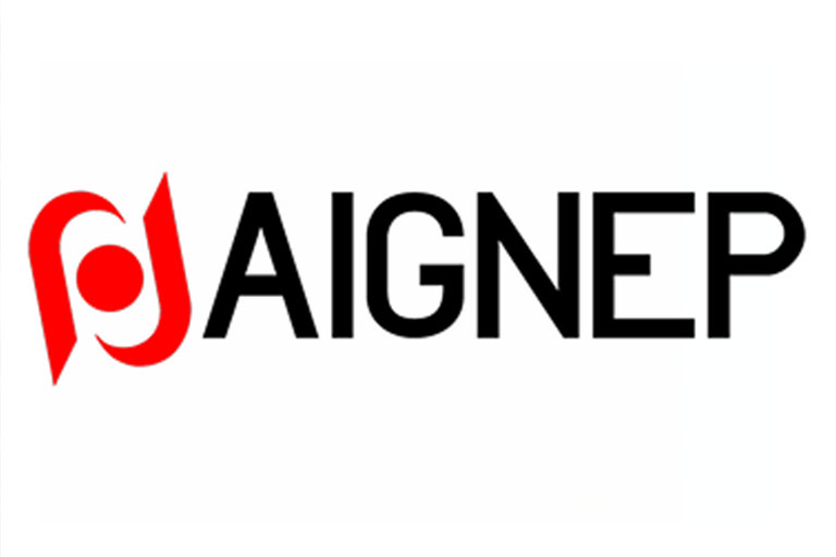 Aignep in Brampton, ON | RAM Solutions